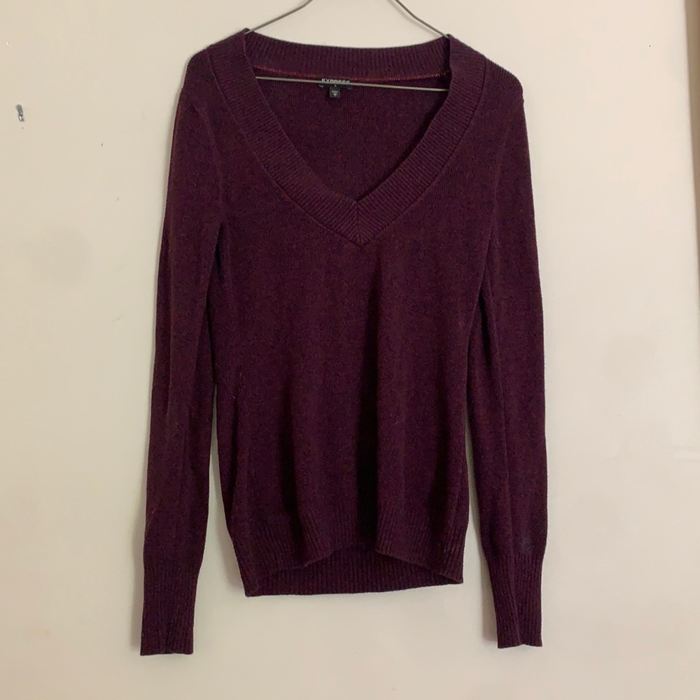 Express Women’s sweater